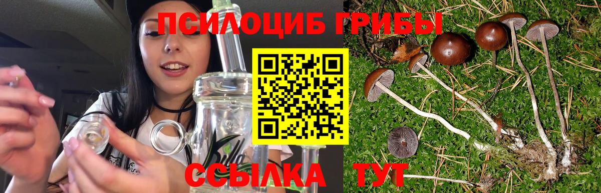 Псилоцибиновые грибы GOLDEN TEACHER  Псилоцибиновые грибы мицелий  закладки  Прокопьевск  Вход с VPN 